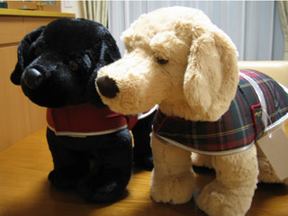 白いのと黒いの