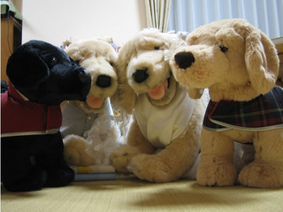 ファミリーですな