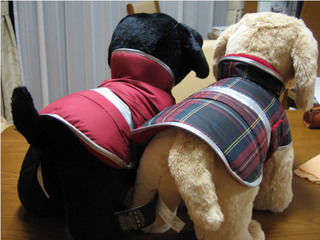 後ろ姿もプリティ!!